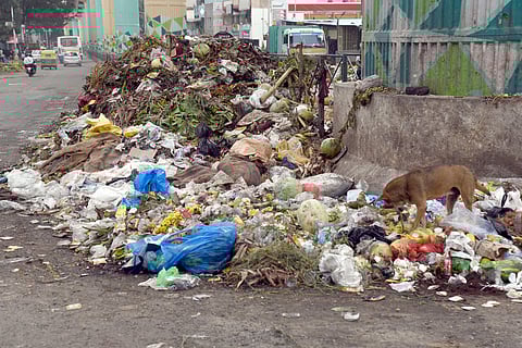 With the image of Bengaluru taking a beating due to poor garbage management and increasing number of black spots, BSWML has come up with a slew of measures. 
