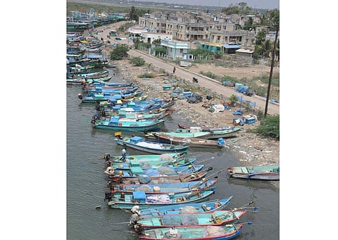 Fiberglass boats moored at Nagapattinam fishing harbor (File Photo | EPS)