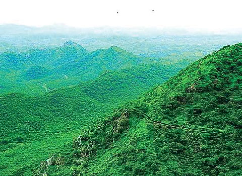 The Aravalli range is considered vital in maintaining the biodiversity of the region