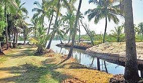 The picturesque Kumbalangi    Deena Theresa