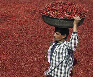 Representational Image. (File photo/Reuters)