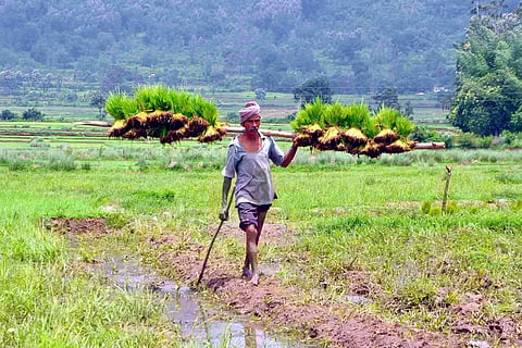 For representational purposes (File | EPS)