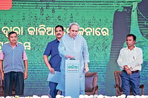 Chief Minister Naveen Patnaik launching KALIA in Puri this January | Express