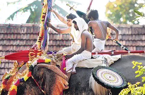 The sizzling heat being experienced in the state has been scorching both humans and animals. A mahout, perched atop an elephant carrying thidambu, shields himself from the baking sun as the jumbo  proceeds through streets in Kochi on Sunday | A Sanesh