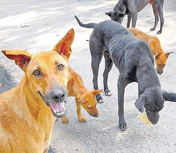 For representational purposes