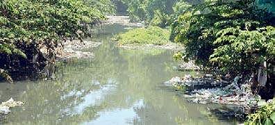 Image used for representational purpose.