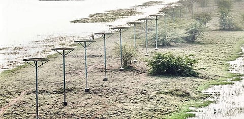 The empty iron stands for migratory birds in Kolleru lake | EXPRESS