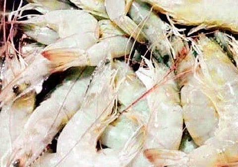 For representational purposes