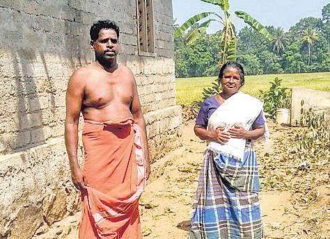 The land donated by Santha Rajan at Thalavady in Kuttanad for building a road. | Express