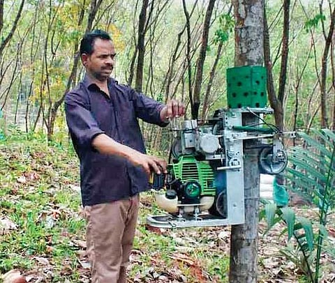 Suresh with his award-winning arecanut-climber