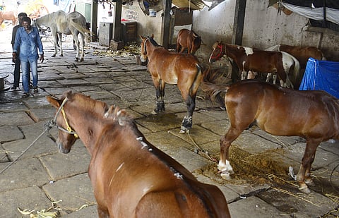 For representational purposes. (Photo | EPS)