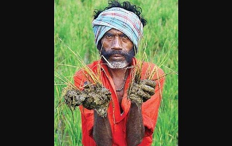 Contaminated water has affected quality of crops in Thiruneermalai   | Nakshatra Krishnamoorthy 