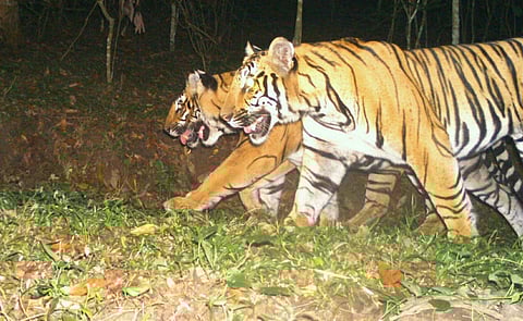 For representational purposes (File Photo | EPS)