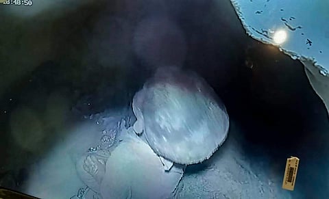 An 18-month-old child was rescued after 48 hours in Haryana from a borewell. (Photo | PTI)