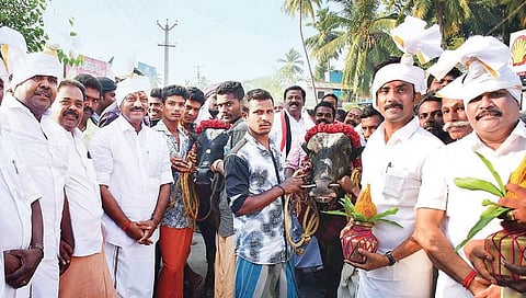 AIADMK candidate OP Ravindranath Kumar and his father and Deputy CM O Panneerselvam with jallikattu bulls at Alanganallur. (Photo | EPS)