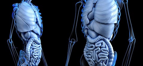 For representational purposes