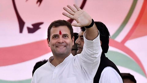 Rahul Gandhi. (File Photo | PTI)