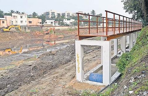 File picture of a bund constructed along the Cooum behind College road in Nungambakkam | Martin Louis