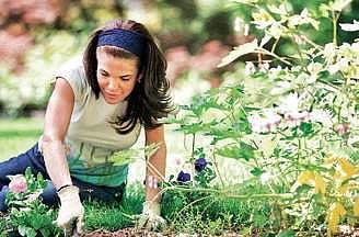 Planting seeds to understand the garden of love and relationships