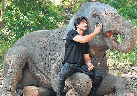 A still from Vidyut Jammwal-starrer 'Junglee'.
