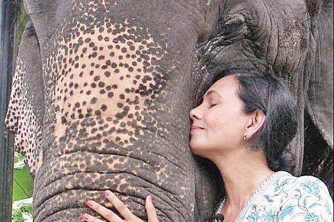 Voice for Asian Elephants Society founder Sangita Iyer.| File Photo