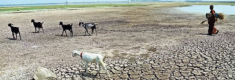 A dried up reservoir.