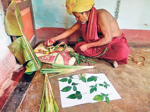 A gardener arranging penta-foliate Bel leaves near Nilakantheswar temple | Express