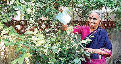 Jayalakshmi Goplaladesakan keeps medicinal plants to treat certain diseases and keep the body healthy | Martin Louis