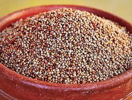 For representational purposes (File)