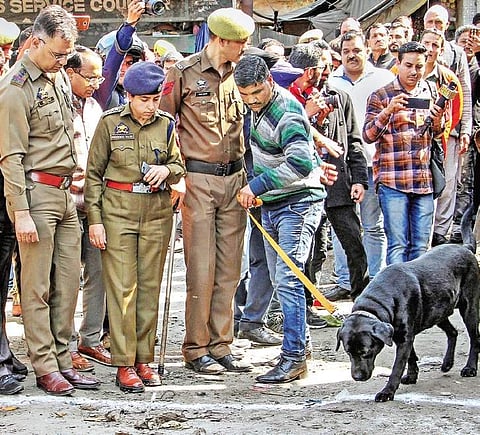 Police personnel with a sniffer dog inspect the site after a powerful explosion at a bus stand in Jammu on Thursday (Photo | PTI)