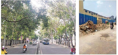 Activists allege that officials are planning to cut 245 trees on Bannerghatta Road; a tree felled for Metro work | express
