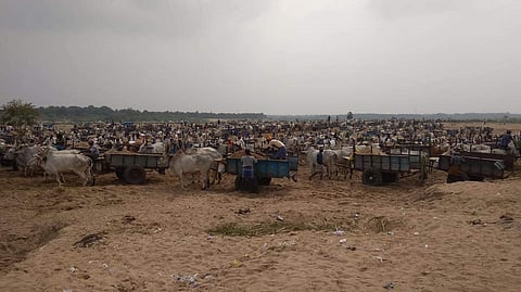 Bullock carts in Vellaru, Perambalur (Express File Photo)