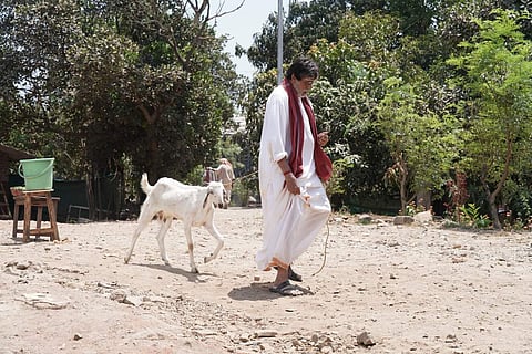 Amitabh Bachchan walks a goat on the sets of his upcoming bilingual Tamil-Hindi film Uyarndha Manithan/ Tera Yaar Hoon Main. (Photo | Twitter)