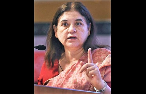 Union Minister Maneka Gandhi (File Photo | PTI)