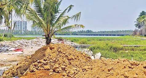 The decimated lakesides of Akkulam
