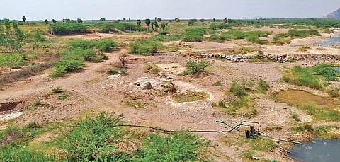 Dried up Gundlakamma stream in Nuzendla mandal of Guntur district I Express