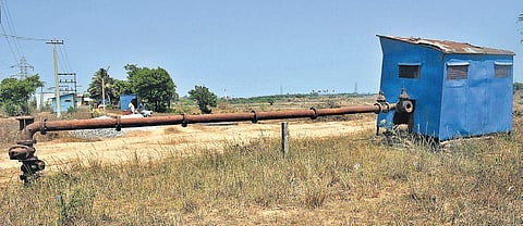 A variety of crops like groundnut green chilli and pulses are not planted anymore due to poor yield. (Photo | D Sampathkumar)