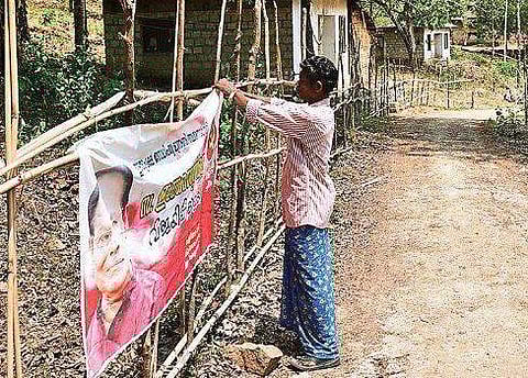 What good can elections bring? Kerala tribals prefer to harvest honey