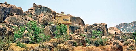 In arid Koppal, agriculture is mainly dependent on the Tungabhadra Reservoir | Express