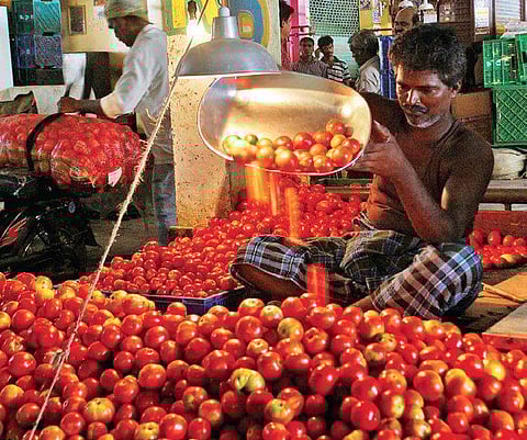 Koyambedu receives only 40 truckloads of tomatoes  Ashwin Prasath