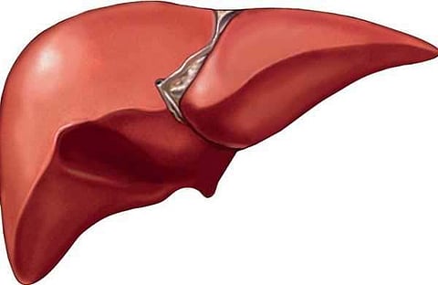 Five ways to identify unhealthy liver