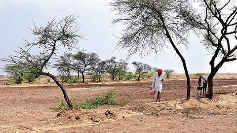 A farmer takes a pot of water to feed his cattle at Madhabhavi hamlet in Vijayapura, which is one of the drought-hit regions in the state
