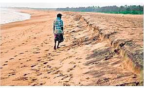 Olive Ridley nesting site at Rushikulya beach in Ganjam district | Express