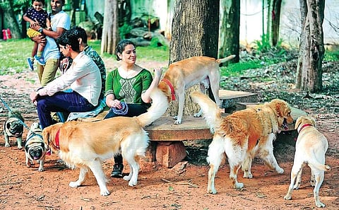 The citizen group thrives on the compassion of dog lovers to donate blood to canines