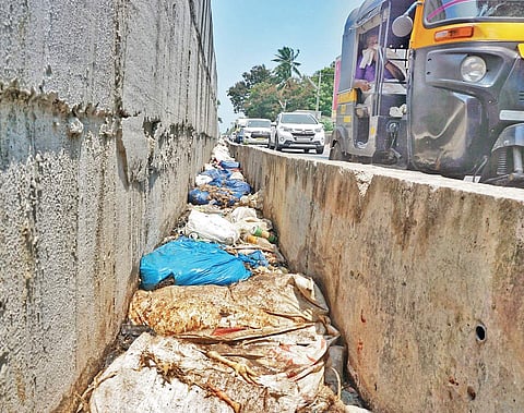 The poultry waste in Kazhakoottam bypass area  Nandakumar H V