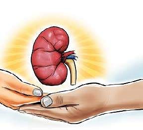 Renal transplantation, more action needed