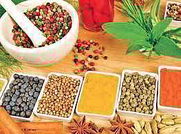 Image used for representational purpose only