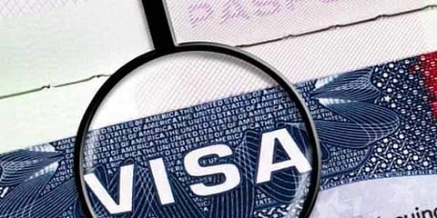 Two Indian-origin persons among 9 indicted by US court on visa fraud and drug charges