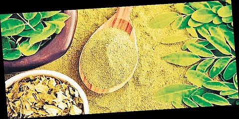 Four superfoods you should start eating now