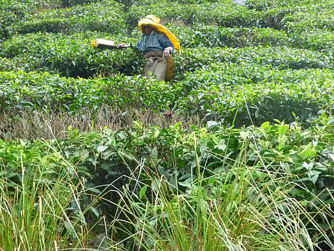 Image for representational purpose only (File | EPS)